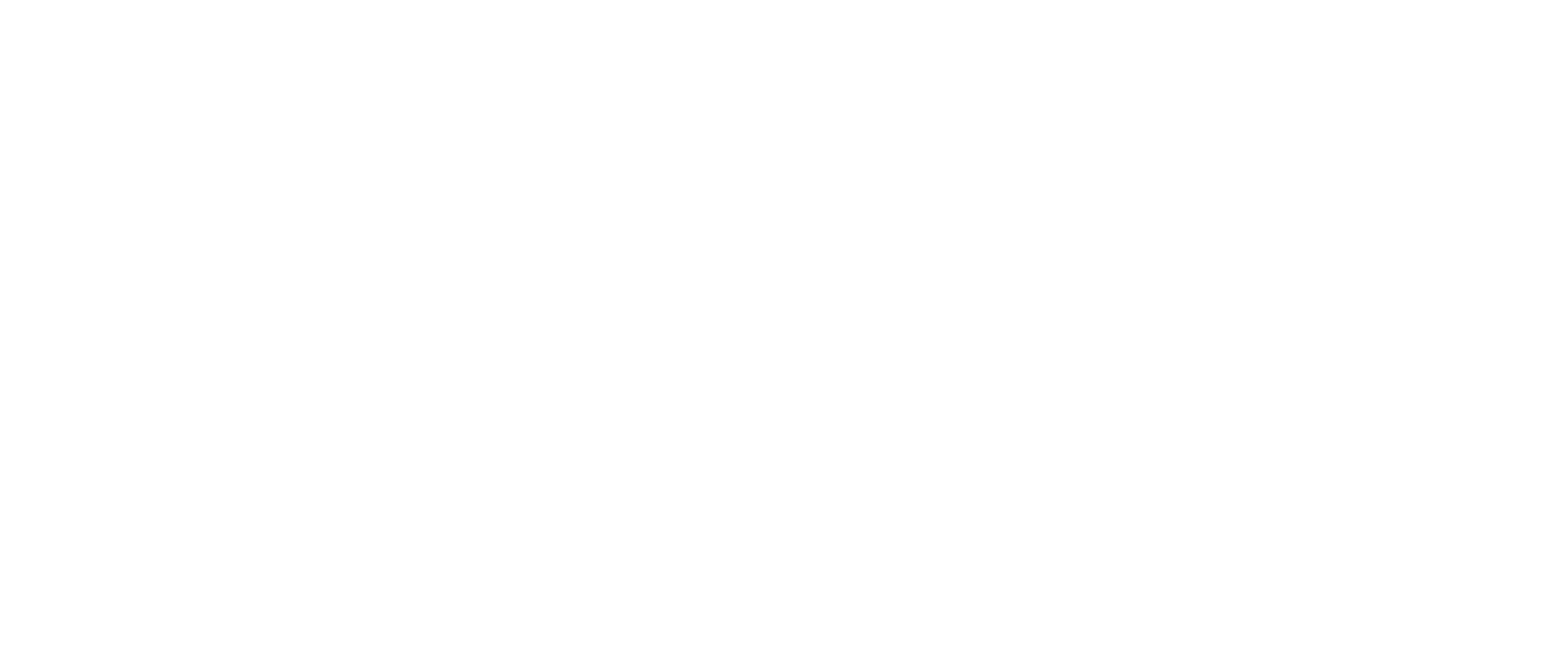 SBN Auto Logistics
